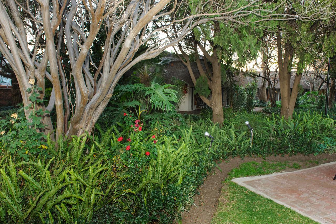 Safari Club Guest Lodge Or Tambo International Airport Kempton Park Eksteriør billede